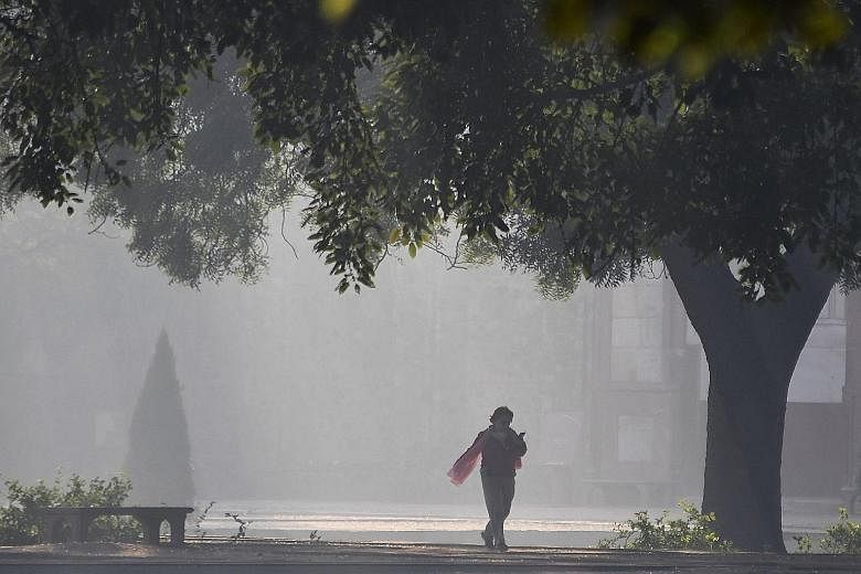 Heavy smog blanketing the garden of Humayun's Tomb in New Delhi yesterday. Asia accounts for more than 16 million of the world's 17 million infants aged under one year living in areas with severe pollution. India topped the list of countries with bab