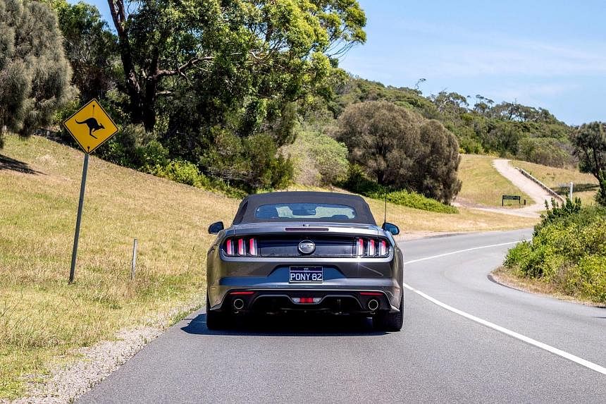 The Ford Mustang GT is glorious as it gallops down the wide-open straights of the Melbournian suburbs.