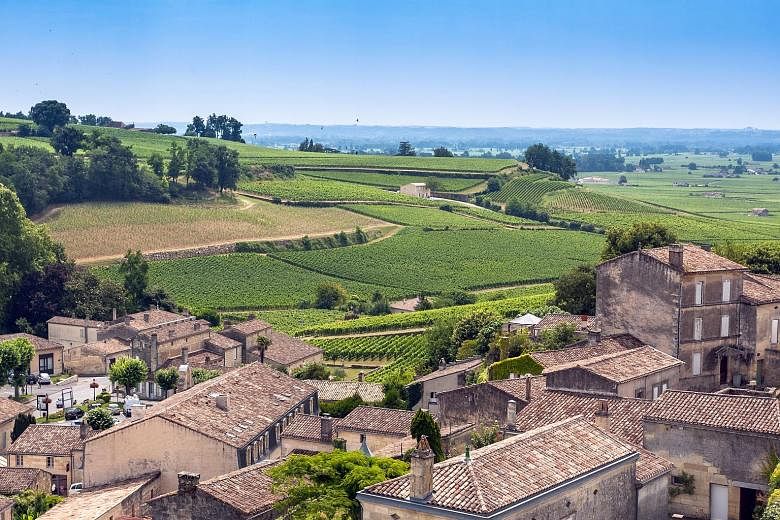 Wander vineyards in the charming mediaeval village of Saint Emilion in Bordeaux.