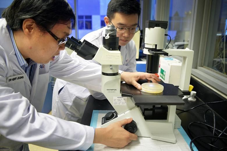 Nanyang Polytechnic scientist Henry Leung and third-year medicinal chemistry student Ivan Lim, 19, examining a sample of polyhydroxyalkanoates (PHA) in the laboratory yesterday. The PHA helps degrade plastics more swiftly, leading to fewer plastic pr