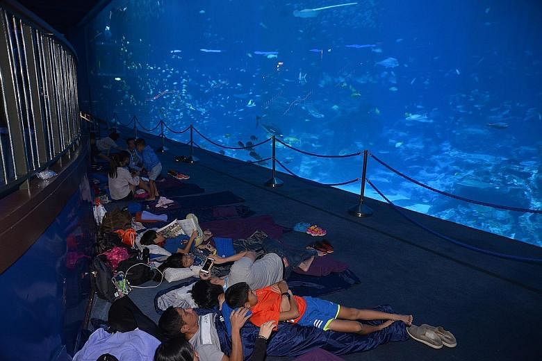 ST subscribers and their families enjoying the "ocean view" during their sleepover at the S.E.A. Aquarium in Resorts World Sentosa yesterday. The Ocean Dreams package that the subscribers won also includes the rare opportunity to watch the manta rays