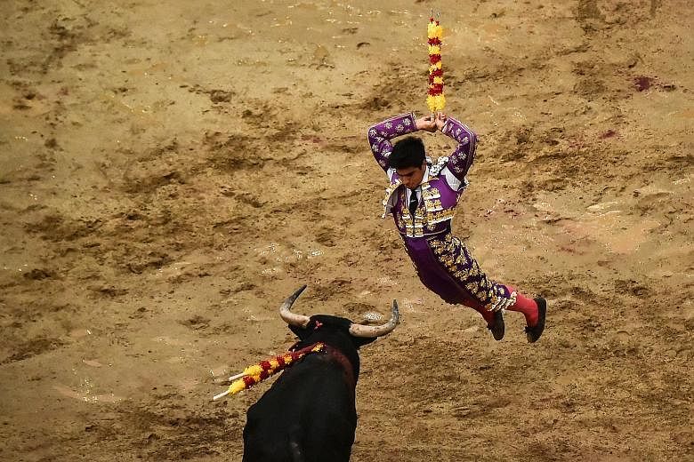 Venezuelan bullfighter Jesus Enrique Colombo confronting a bull at the Canaveralejo bullring in Cali, Colombia, on Tuesday, during the world-famous 60th Fair of Cali. Considered the biggest festival of its kind in the Americas, the bloody display - w