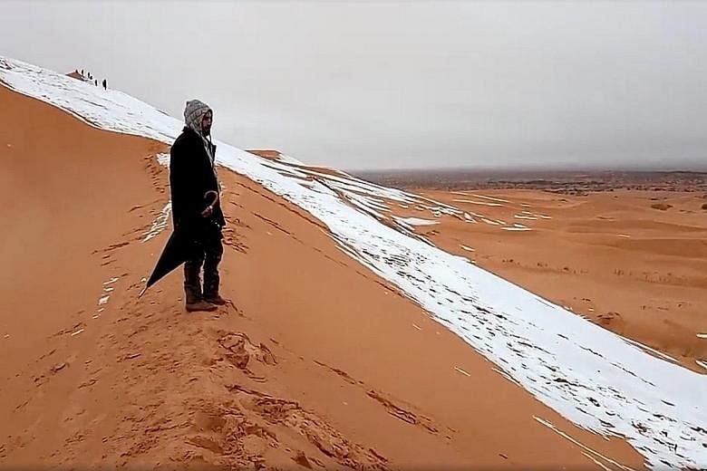 A man takes in the rare sight of snow on the sand dunes in Algeria on Sunday, when residents of the northern town of Ain Sefra enjoyed sliding down them, before the snow melted away.
