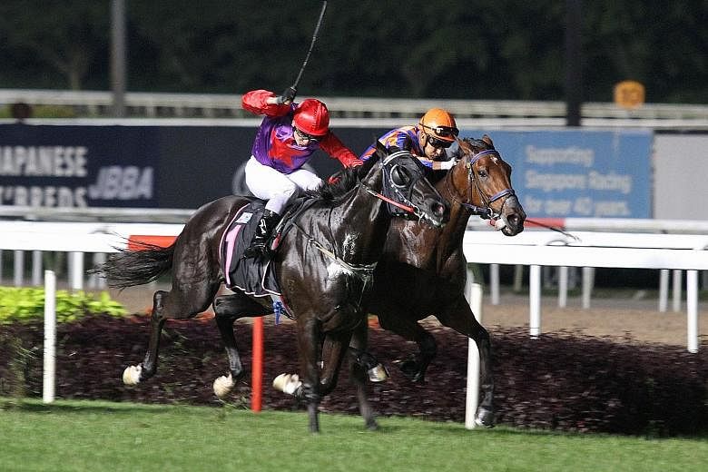 Turf Champion (No. 1) giving extra under Vlad Duric's vigorous riding to beat Destiny Knight in Race 3 and give the champion jockey the second leg of his hat-trick at Kranji last night.