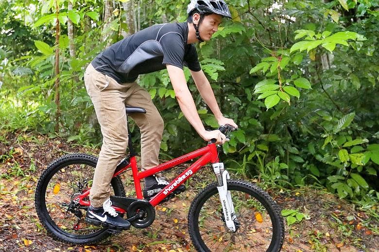 Mr Ethan Tan's company, ShareBikeSG, differentiates itself from the five other companies as it offers mountain bikes. The bicycles will also help bridge the 1km distance between Chestnut Nature Park, where he has a bike rental service for cyclists ri