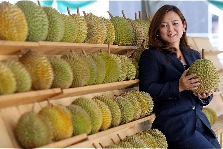 Ms Anna Teo, nicknamed "Musang Queen" after the popular durian variety, heads Hernan Corporation. The company is today one of Malaysia's main exporters of durians and durian products.