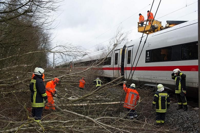 Firefighters removing fallen trees near Lamspringe, northern Germany, on Thursday. The trees had fallen on a high-speed train between Hanover and Goettingen.