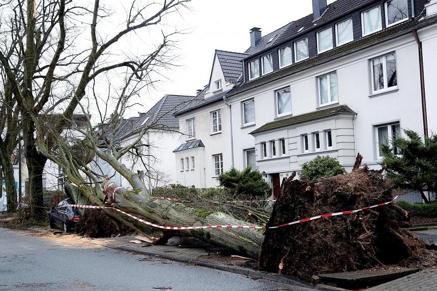 Pieces of a primary school's roof littered the schoolyard yesterday in Halberstadt, eastern Germany, one day after the region was hit by Storm Friederike. A car is crushed by a large tree in Dortmund, Germany, on Thursday when gale-force winds from S