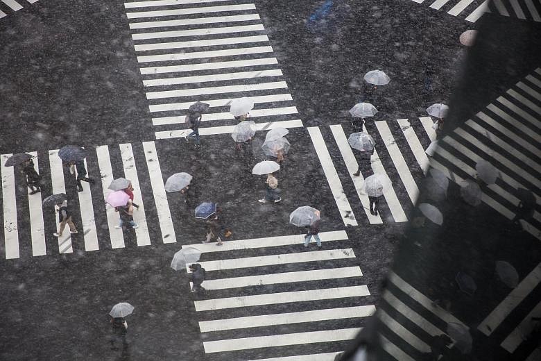 Snowstorm in Tokyo disrupts road, rail and air transport