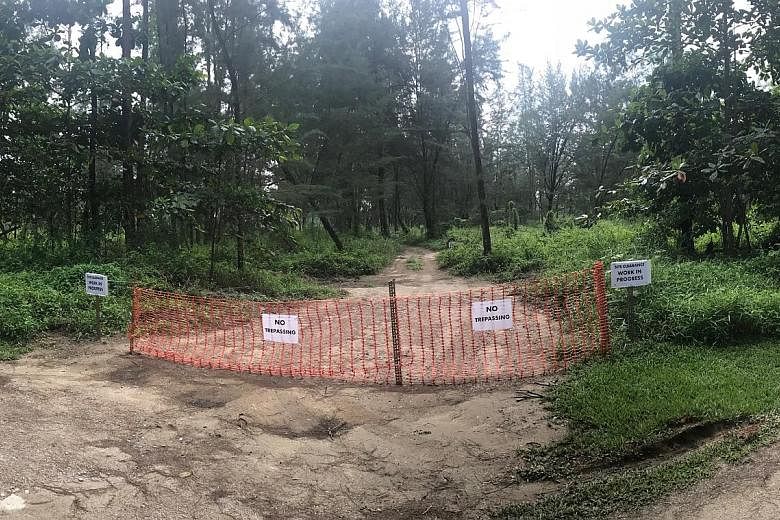 Outward Bound Singapore (OBS) said the cleared site will be temporarily used for camping activities under the Ministry of Education-OBS Secondary 3 programme.