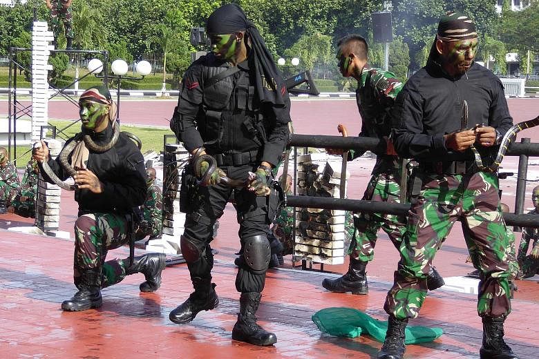 Soldiers from the Indonesian Special Forces putting on a performance for visiting US Defence Secretary James Mattis. During the show, they killed live snakes, including cobras, and served the blood to each other in a sign of brotherhood. The soldiers