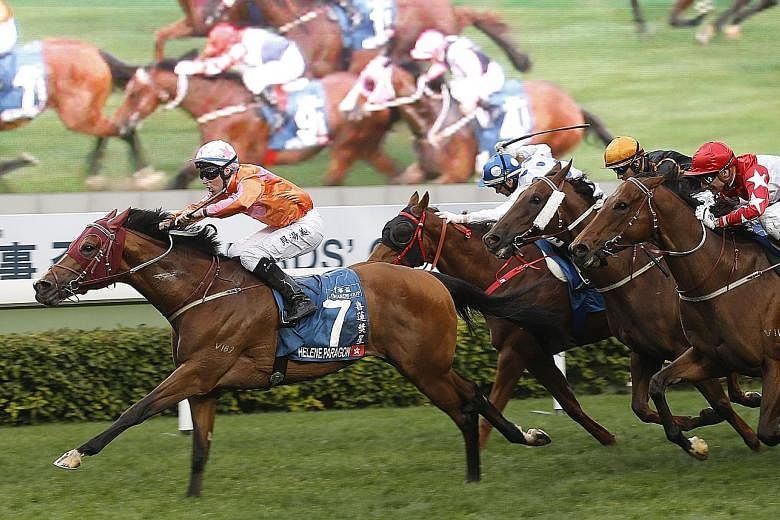 Helene Paragon winning last year's Group 1 Stewards' Cup in style and is back in form to defend his title at Sha Tin tomorrow.