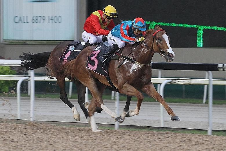 Natural Impulse (No. 3) scoring his fifth win from 34 starts in the opening race at Kranji last night. Showing three-figure odds at his five previous starts, he started a hot favourite and paid $10 for a win.