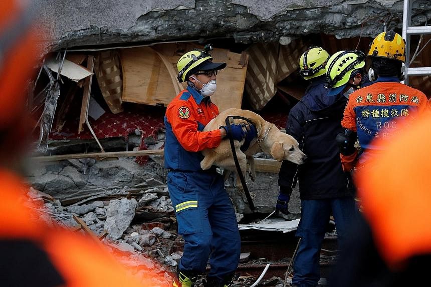 Rescuers looking for survivors yesterday after Tuesday's quake, which struck near Taiwan's popular tourist city of Hualien, home to about 100,000 people. A dog pulled out from the rubble of a hotel. The authorities warned of possible aftershocks of a