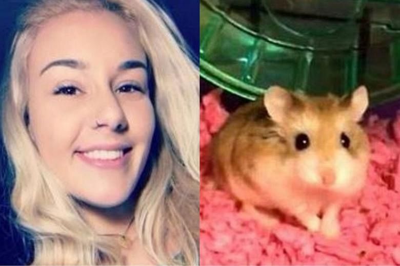 Woman Who Flushed 'Emotional Support Hamster' Down Toilet May Sue Airline