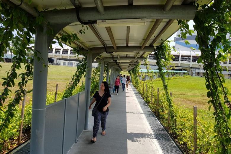More green walkways for NParks' City in a Garden vision The Straits Times