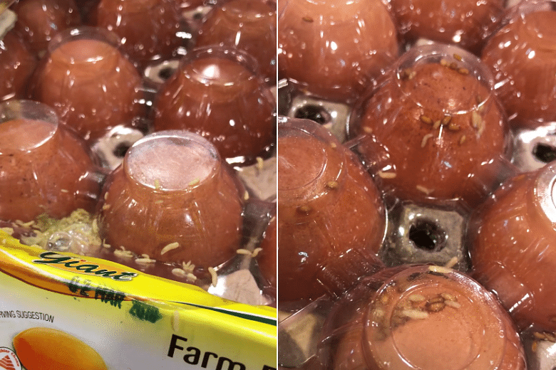 Egg From Giant Woodlands Outlet Looks Rotten & Emits Pungent Odour,  Supermarket Chain Investigating