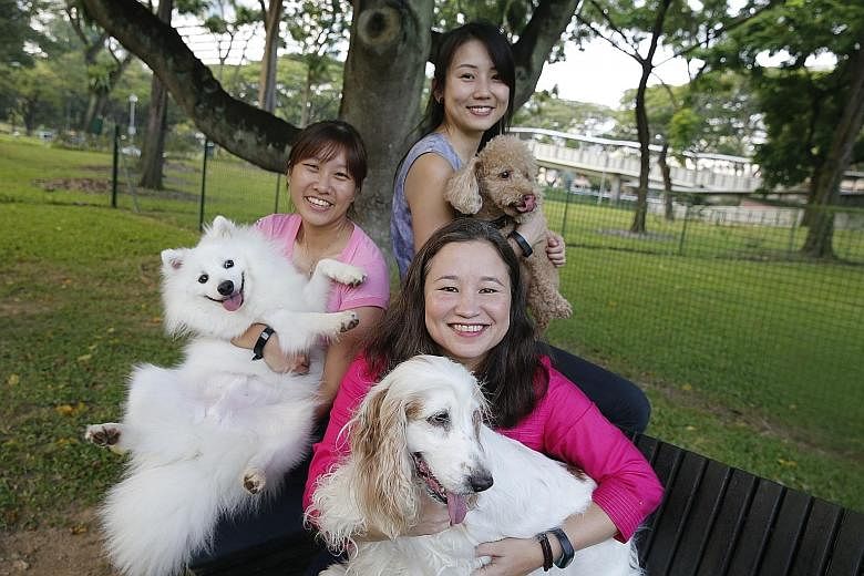 Members of The Straits Times Science and Environment team (clockwise from left) Samantha Boh, with her Japanese spitz Ash, Audrey Tan, with her toy poodle Snuffles, and Chang Ai-Lien, with her English cocker spaniel Amber, wish all their readers a ve