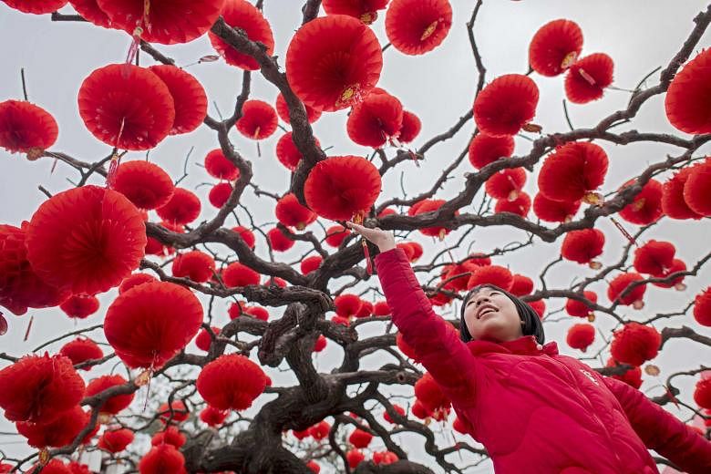 CHINA: A girl in Beijing admiring the numerous lanterns creating an explosion of colour in an otherwise grey winter landscape. Chinese New Year celebrations across China are scheduled to last a week, with millions of migrant workers returning to their hom