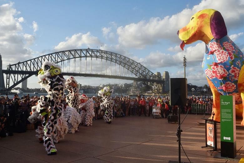 AUSTRALIA:Sydney's Harbour Bridge providing a stunning backdrop for lion dancers in all their glorious pride. 