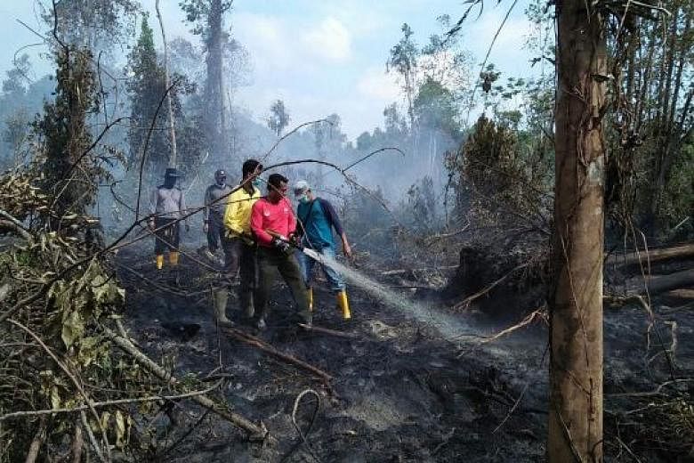 BNPB officials putting out a peatland forest fire near Taluk, Riau province, on Tuesday. The disaster alert status means the government can step in more easily to fight forest fires.