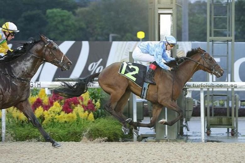 Newcomer Quarter Back winning first-up last night to give trainer Michael Clements his 500th winner at Kranji.