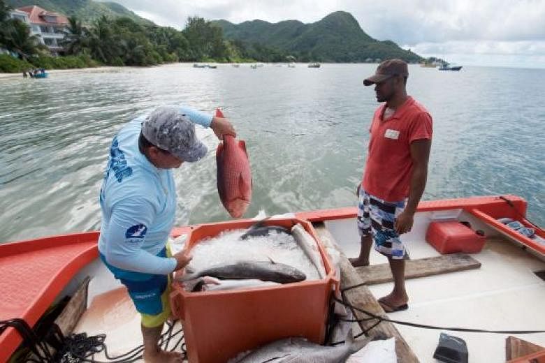 Fishermen sorting their catch in Praslin, one of the islands in Seychelles. The island nation mainly relies on tourism and fishing for revenue, but in recent years, oil and gas companies have been exploring its waters.