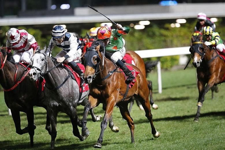 Rule Thee (in red cap and green jersey) has won two of his last three starts. He can take today's Race 8 at Sha Tin, now that the penny looks to have dropped with him.