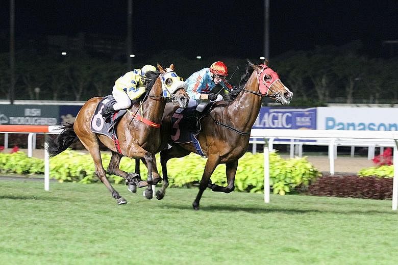 Front-runner O'What A Feeling (inside) staving off the $10 favourite Mr Dujardin by a head in the $45,000 Class 4 Non Premier event over 1,800m on the long course in Race 3 at Kranji last night.