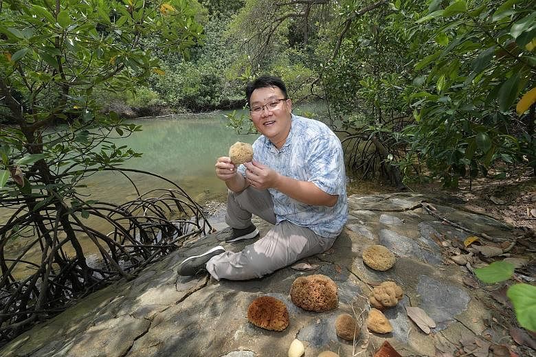 Mr Lim Swee Cheng from the National University of Singapore's Tropical Marine Science Institute wants people to come forward with their stories of collecting or using sea sponges here, as part of his research into the economic, historical and cultura