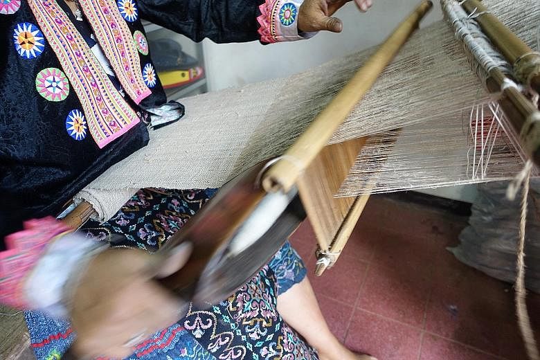 Handwoven hemp cloth (left) being dried after it has been dyed and a hemp plant (right) in a research facility in Chiang Mai. Marijuana being grown for medical purposes, such as treating epilepsy and managing pain. In the United States, where 29 of i