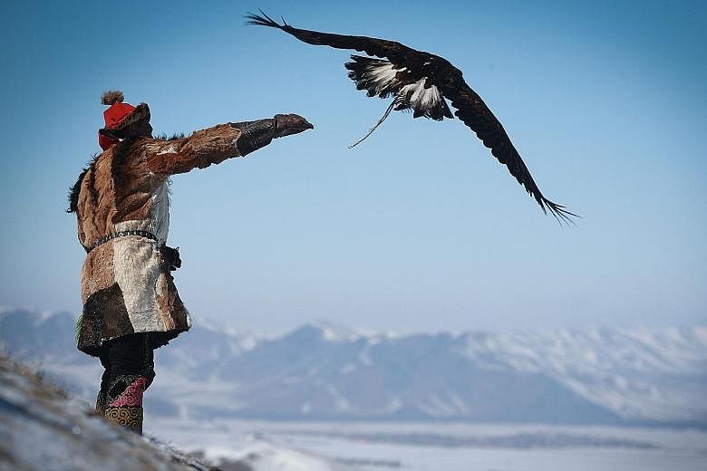 A man releasing an eagle during the Spring Eagle Festival in Ulaanbaatar, the capital of Mongolia. Members of Mongolia's Kazakh ethnic group celebrate their 6,000-year-old history of eagle-hunting with an annual festival which aims to draw tourists a