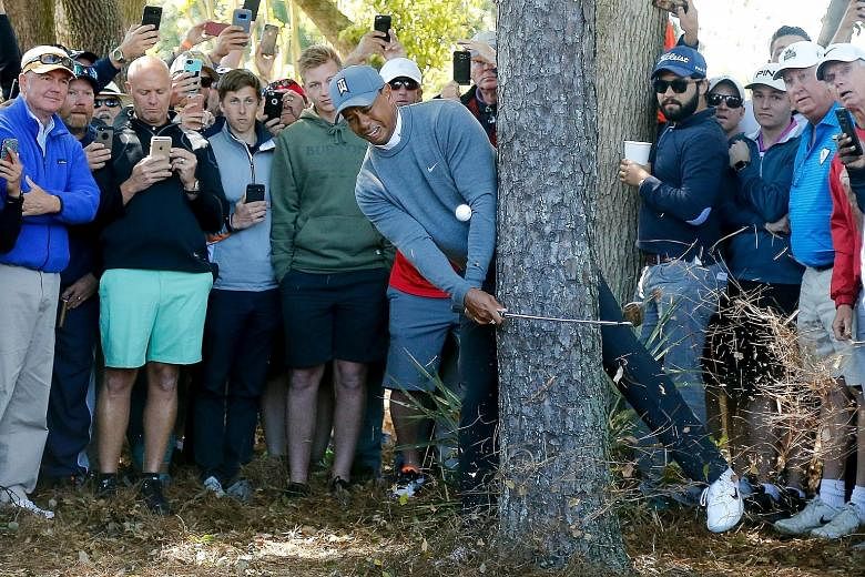 Tiger Woods plays his second shot on the par-four 16h during the first round of the Valspar Championship on Thursday in Palm Harbour, Florida. He subsequently wrapped his iron around the trunk, with the club bending before flying out of his hand as h