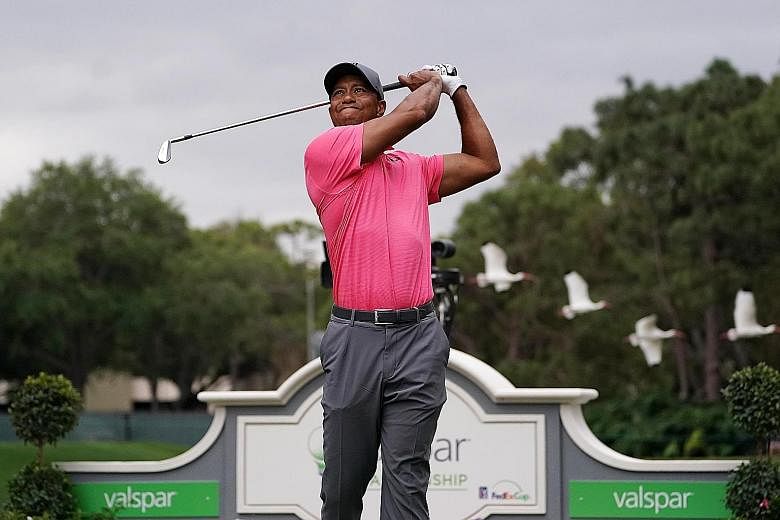 Tiger Woods teeing off on the 17th hole in the third round of the Valspar Championship. The improbable - that he can win another tournament - is looking increasingly likely.
