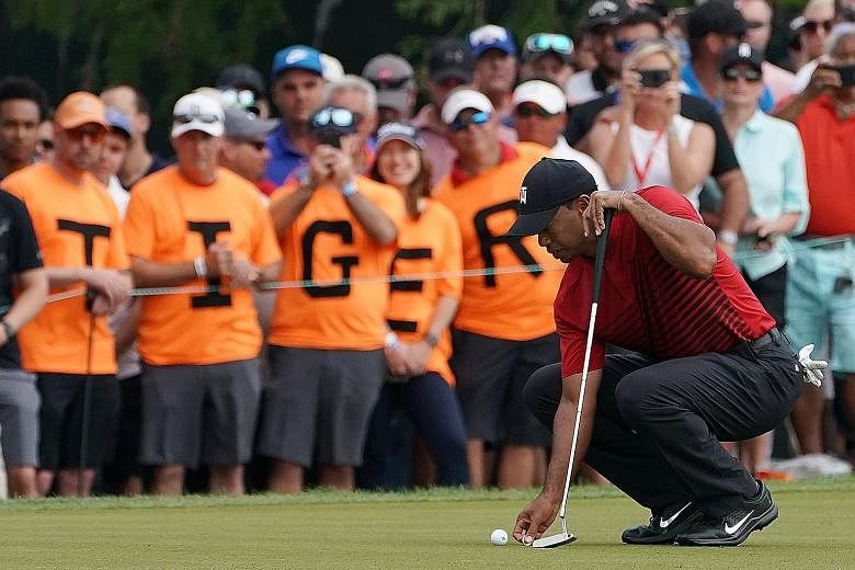 Tiger Woods lining up his putt on the 13th in the final round of the Valspar Championship. He showed that at 42 and after numerous operations, he can not only play but also challenge.