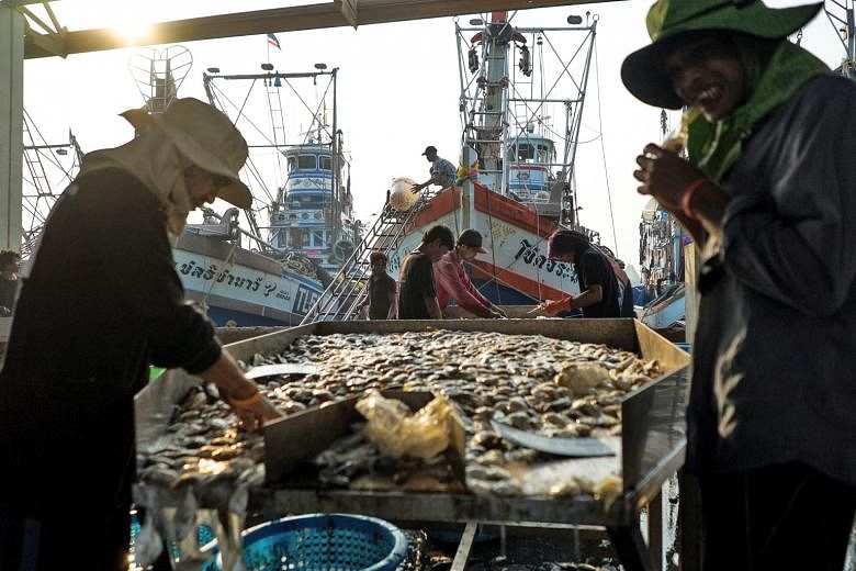 Migrant workers sorting seafood at a port in Thailand's Samut Sakhon province. Thailand is rushing to get an estimated 1.6 million illegal migrant labourers who work in its fisheries, as well as construction and agriculture sectors - the majority of 