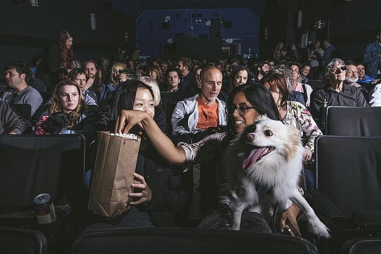 Owners and their pet dogs (above) at the Roxie Theatre for a screening of Isle Of Dogs, with some pooches getting their own seats (left).