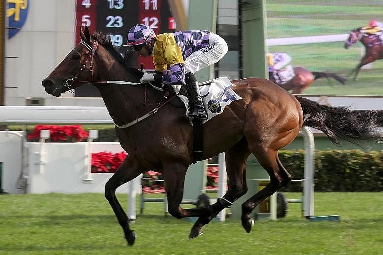 Easy Go Easy Win can finish on top in Race 9 at Sha Tin tomorrow if he gets a bit more speed in the 1,600m event.
