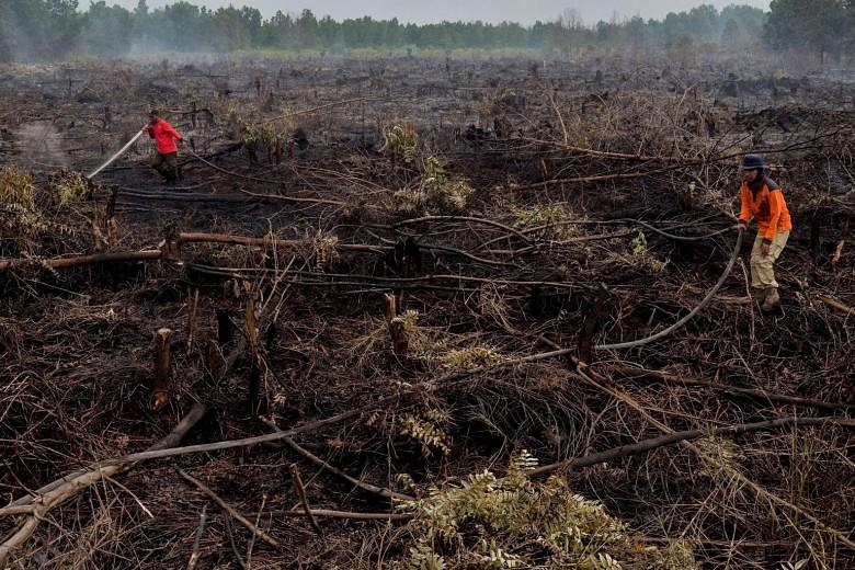 UN praises Indonesia's peatland management efforts | The Straits Times