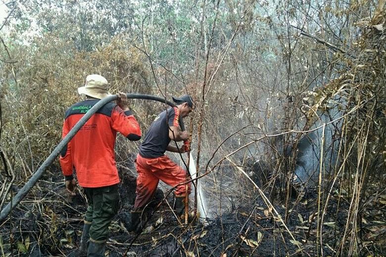 Officials fighting a peatland forest fire in Riau province on Feb 20. Indonesia has more than 15 million ha of peatland.