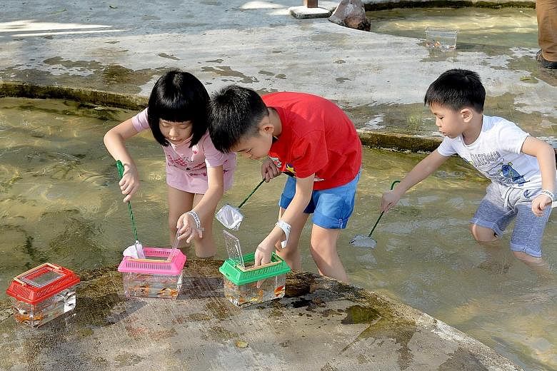 Far left: (From left) Zhang Mulai, Zhang Muqing and Chen Zhihan, all aged four, showing off their catch at Orto last Saturday. Left: Six-year-old Lynelle Lee fishing with her friends from Little Wonders Montessori Childcare at Fish @ Bugis+ last week