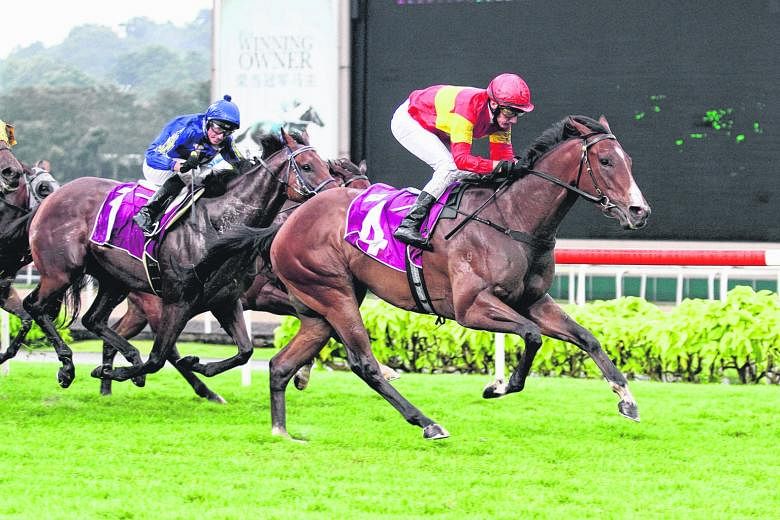 Jockey John Powell driving Be Bee (No. 4) home powerfully to capture the $250,000 Group 3 Singapore Three-Year-Old Sprint over 1,200m in Race 9 at Kranji yesterday.