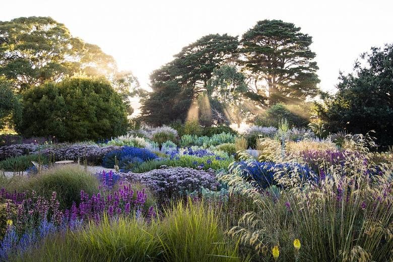 The Mount Macedon garden in Victoria, Australia, is a garden featured in the book, Dreamscapes: Inspiration And Beauty In Gardens Near And Far.