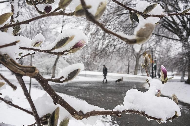 Snow turned Prospect Park in New York's Brooklyn (left) into a wintry wonderland on Monday - despite it being officially spring. Frustrated drivers flooded social media with complaints about New York City's decision to retain parking rules on an unus
