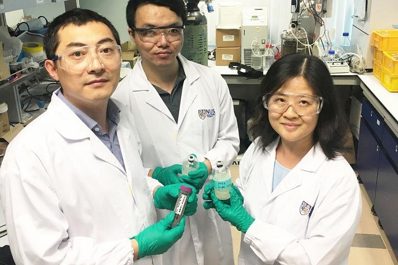 (From left): Dr Li Tinggang, research fellow; Mr Zhang Chen, a PhD student; and Associate Professor He Jianzhong from the Department of Civil and Environmental Engineering at NUS are part of a team that has found that a natural bacterium isolated fro