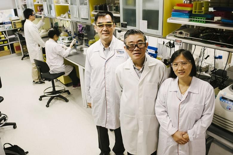 The Yong Loo Lin School of Medicine team behind the breakthrough study: (from left) Professor Wang De Yun from the Department of Otolaryngology, Associate Professor Vincent Chow from the Department of Microbiology and Immunology, and Assistant Profes