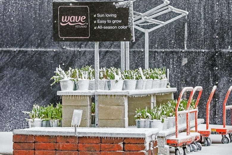 Ice and snow cover plants in a shop in Illinois as spring storms hit the US Midwest. The weather also led to flights being cancelled, while thousands of people were left without power.