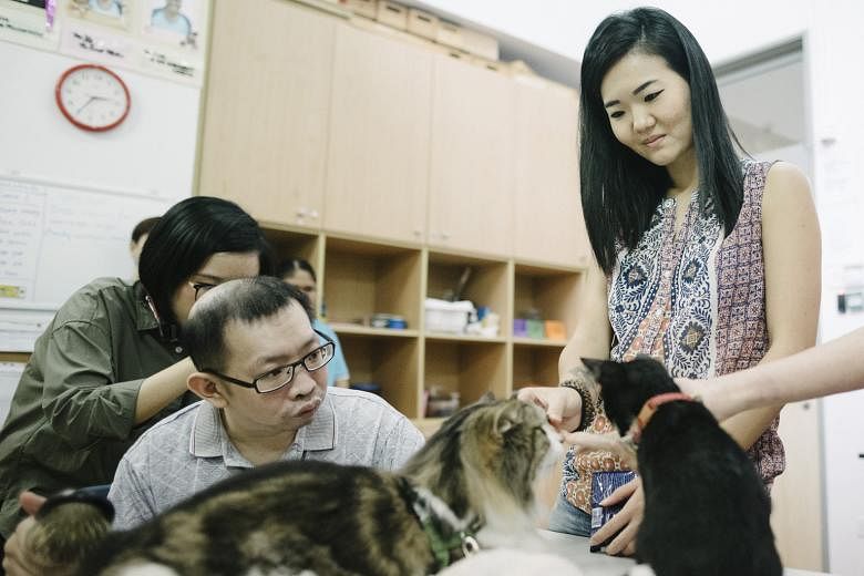 Financial consultant Camellia Abd Gani, who volunteers with Love Kuching Project, joining Mr Liew Thean Ann from Mindsville to play with four-month-old kitten Russ during a cat therapy session.