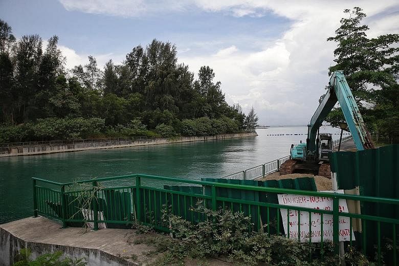 The site of the proposed sea burial facility is across the canal from where the excavator is and is near Tanah Merah Ferry Terminal. The area is covered by dense undergrowth and the coastline there is also not planned for recreational purposes.