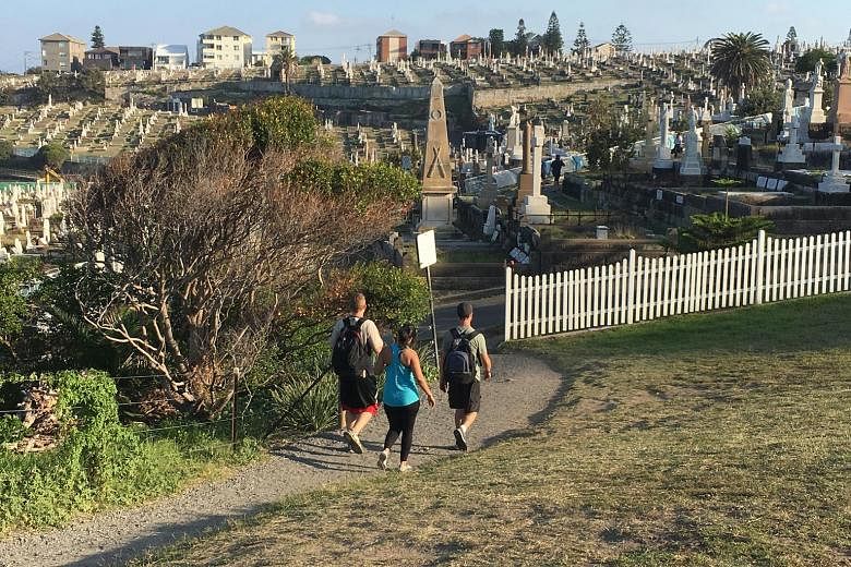 A popular coastal trail in Sydney cuts through Waverley Cemetery. Each day, thousands of people pass between the gravestones as they make their way between the beaches at Bronte and Clovelly.